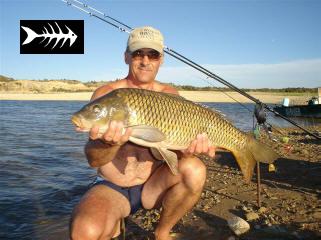 carpes caspe aout 2006 (7).jpg